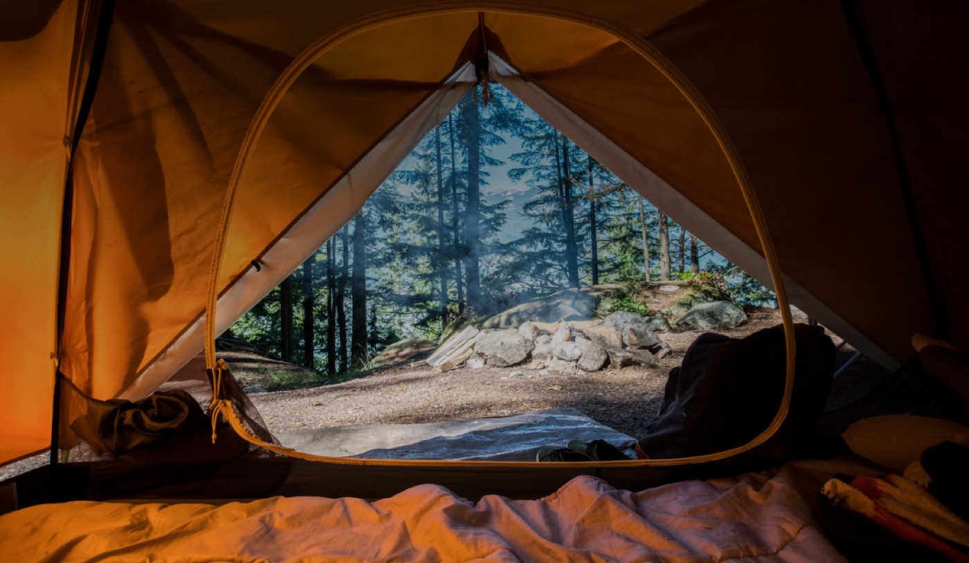 The view out of a tent at a forest campsite